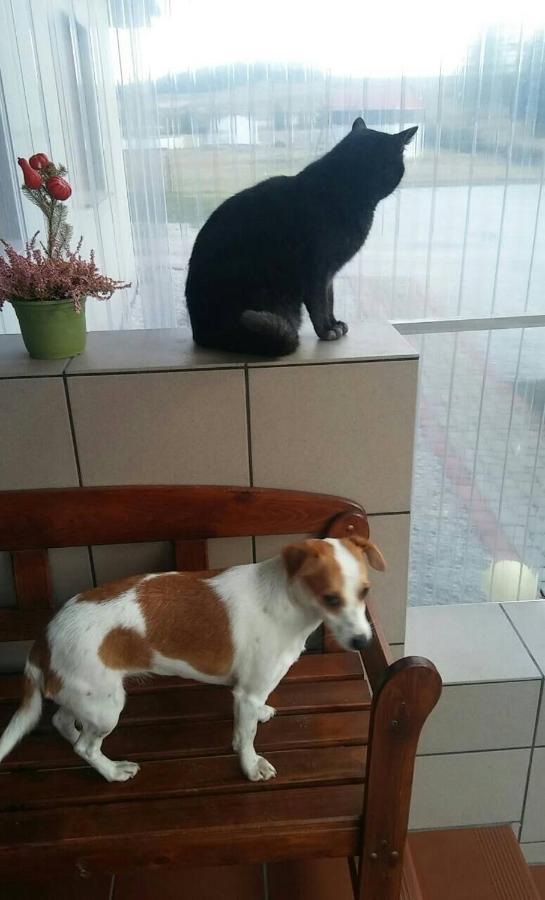 Der Kleine Bauernhof Keine Arbeiter Zadnych Pracownikow Apartment Lubiatow  Luaran gambar